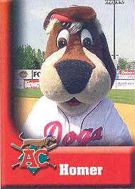 Homer Hound Card