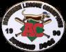 Albany-Colonie 1999 NoL Champs pin