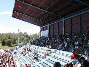 Photo of people enjoying shade