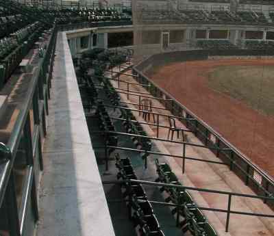 Telus Field Seating Chart