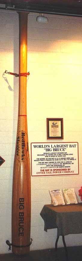 Photo of Big Bruce Bat