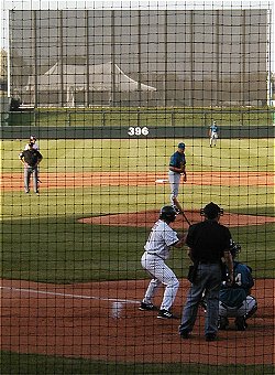 Photo of translucent batter's eye