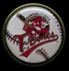 T-Bones logo ball