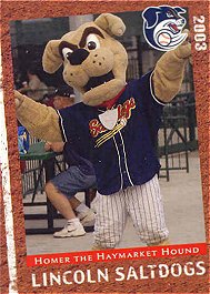 Homer the Haymarket Hound card