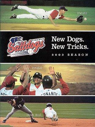 Lincoln Saltdogs '03