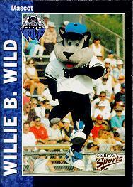 Willie B. Wild card