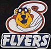 Schaumburg Flyers