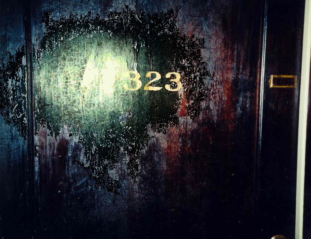 The Door