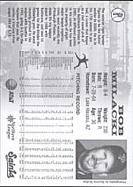St. Paul Saints back of card