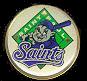 St. Paul Saints White Pig pin