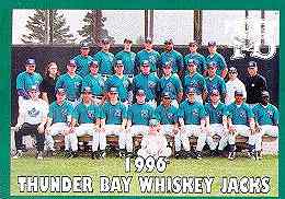 1996 Team card