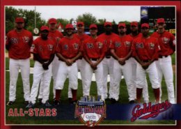 2008 Winnipeg Goldeyes All Stars card