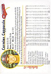 Winnipeg Goldeyes back of card