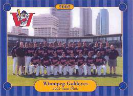 2002 Winnipeg Goldeyes team card