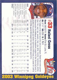 Winnipeg Goldeyes back of card