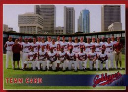 2008 Winnipeg Goldeyes team card