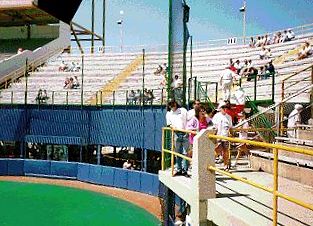 Photo of webmaster looking over stands